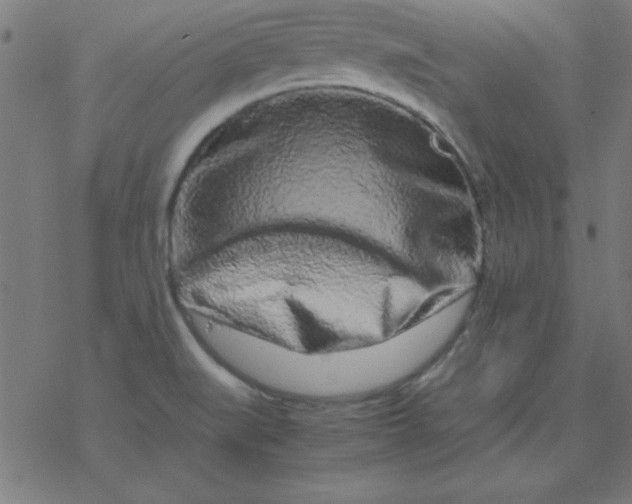 X0000077391519200611101741