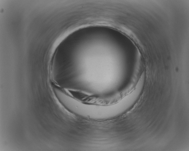 X0000077391520200611101741