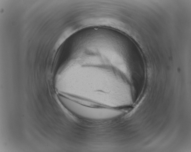 X0000077391521200611101741