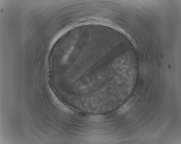 X0000077391522200611101741