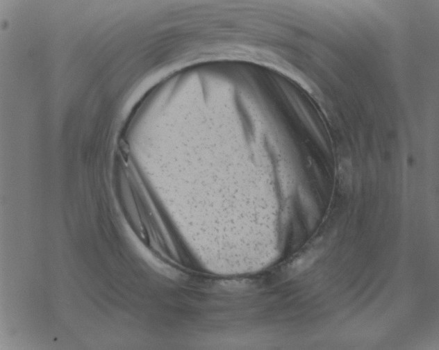 X0000077391523200611101742