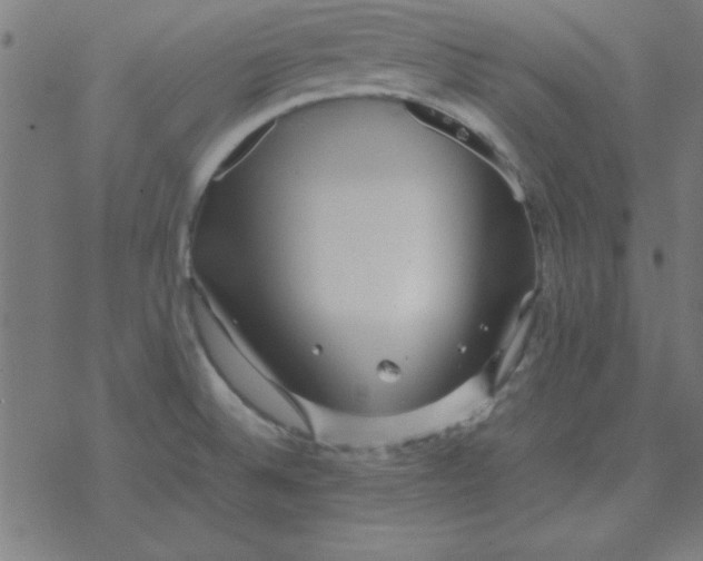 X0000077391524200611101742