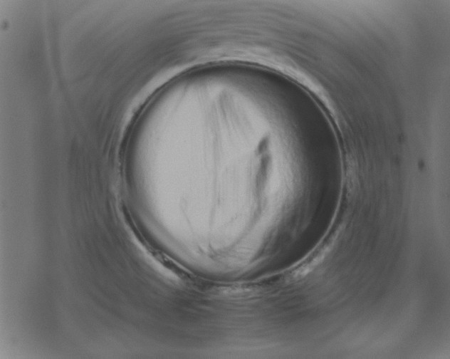 X0000077391525200611101742