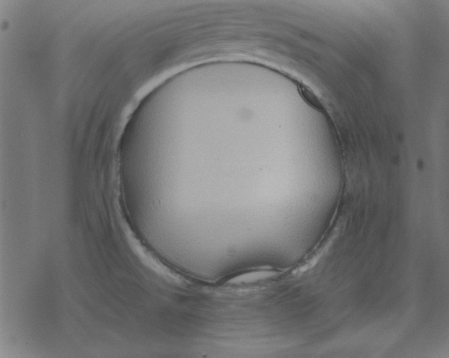 X0000077391526200611101742