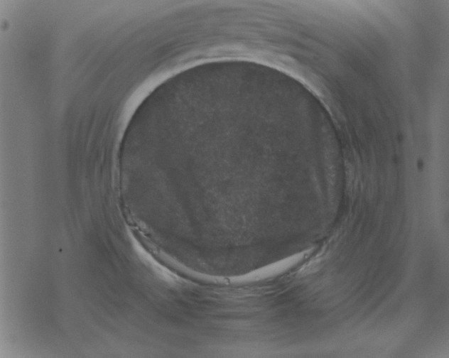 X0000077391527200611101742