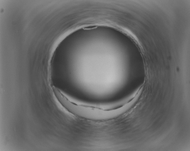 X0000077391528200611101742