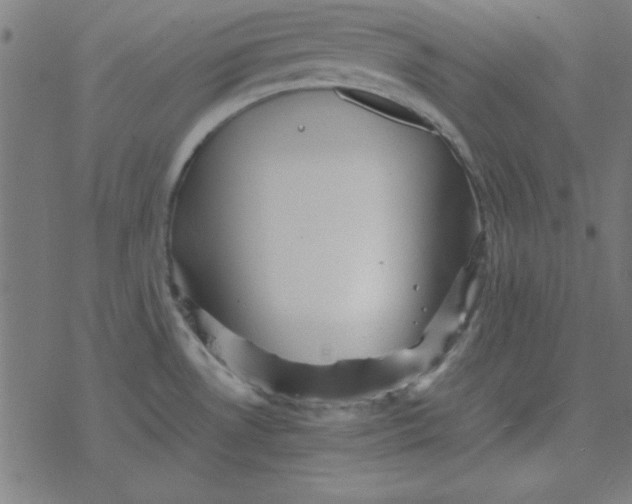 X0000077391530200611101742