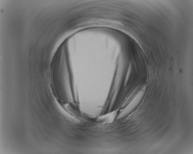 X0000077391531200611101742