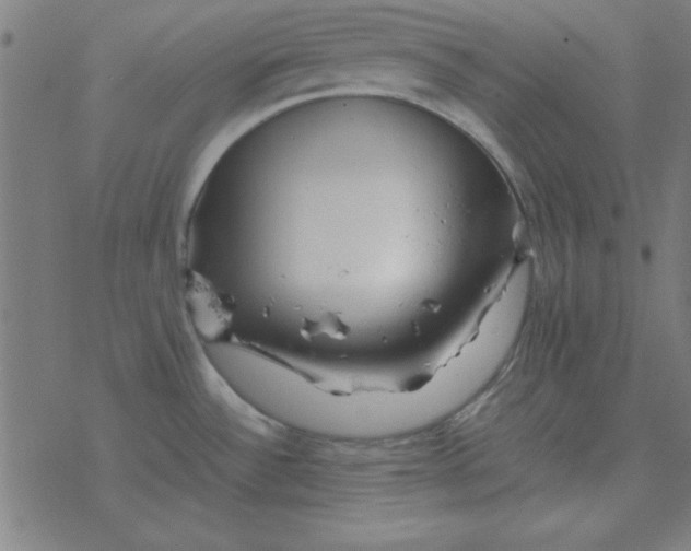 X0000077391532200611101742