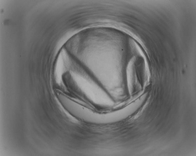 X0000077391533200611101742