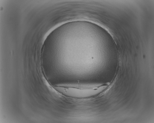 X0000077391534200611101742