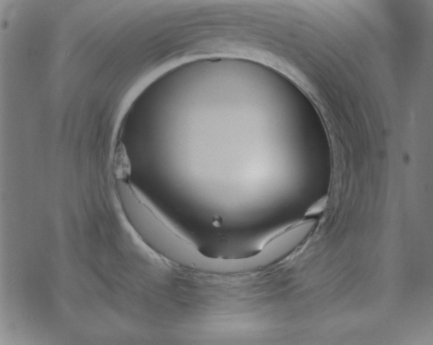 X0000077391536200611101742