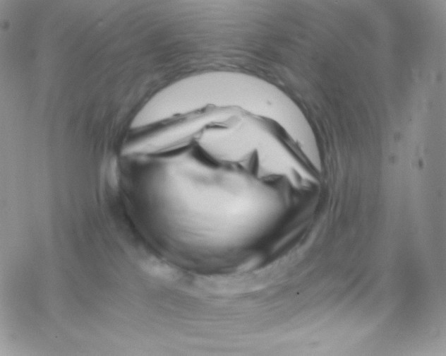 X0000077390041200611172050