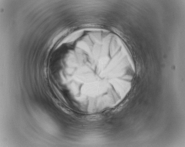 X0000077390050200611172049