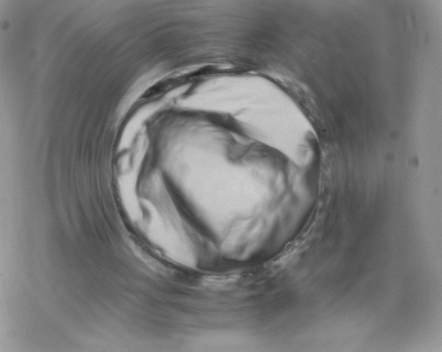 X0000077390051200611172049