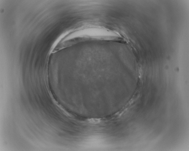 X0000077390052200611172049