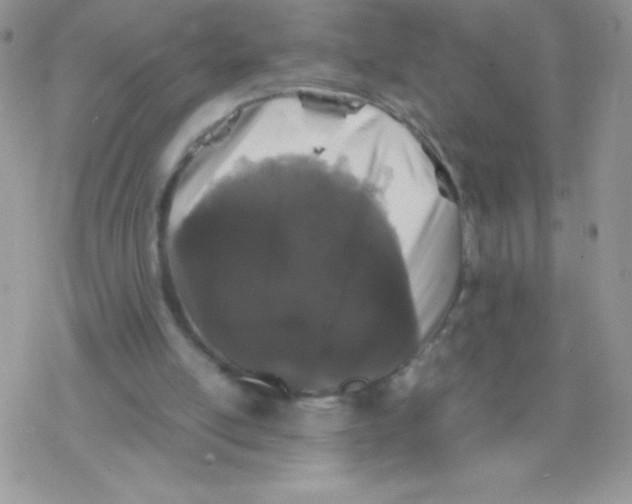 X0000077390054200611172049