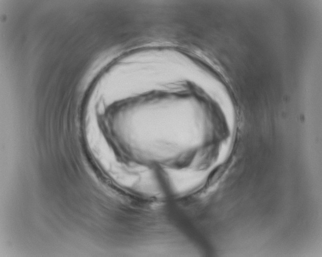 X0000077390055200611172049