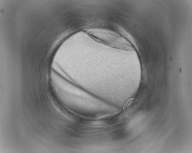 X0000077390059200611172049