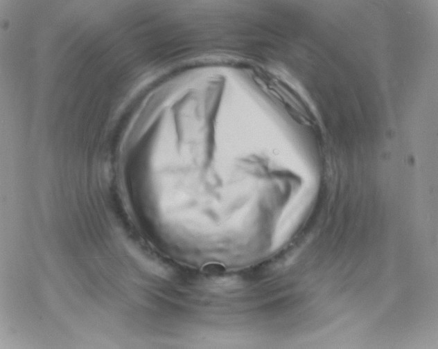 X0000077390063200611172049