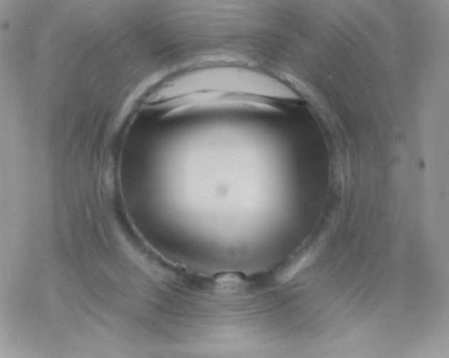 X0000077390064200611172049