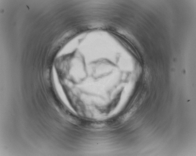 X0000077390066200611172049