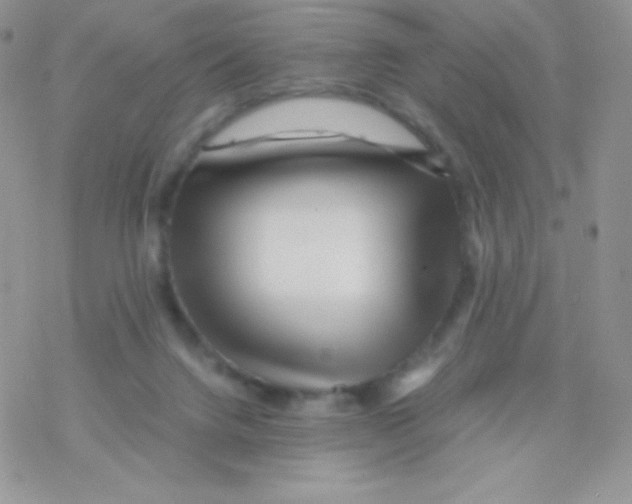 X0000077390072200611172049