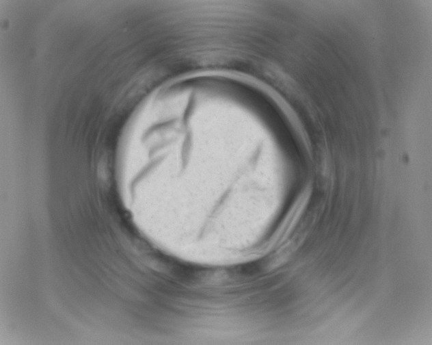 X0000077390074200611172049