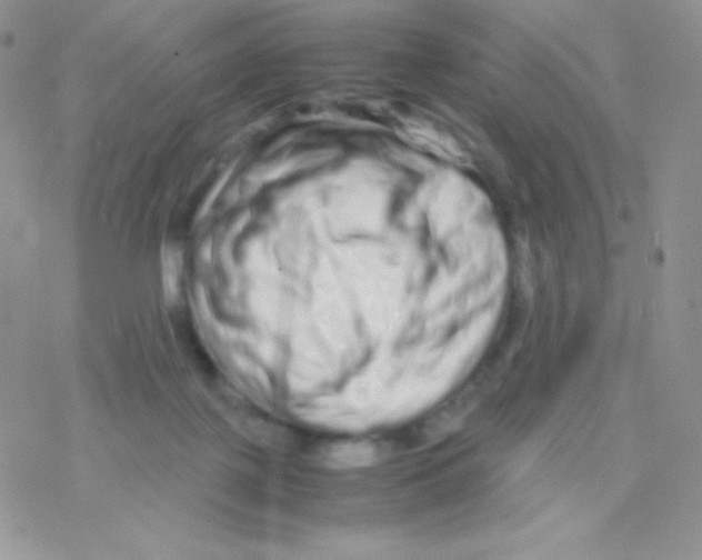 X0000077390075200611172049