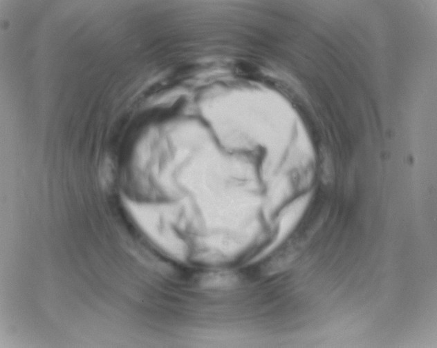 X0000077390077200611172049
