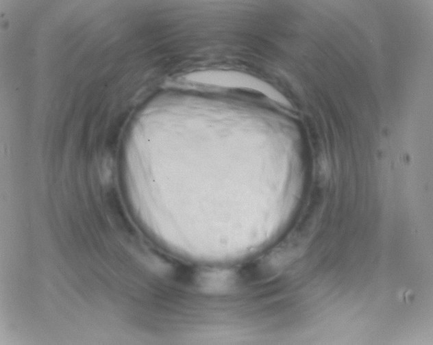X0000077390081200611172050
