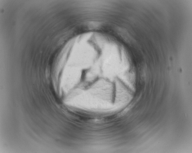 X0000077390082200611172050
