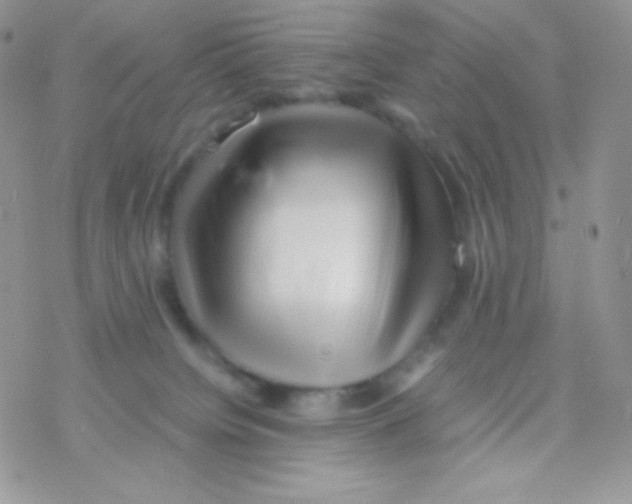 X0000077390084200611172050