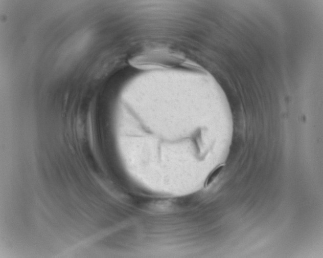 X0000077390086200611172050