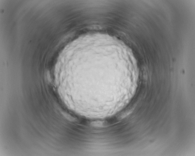 X0000077390089200611172050
