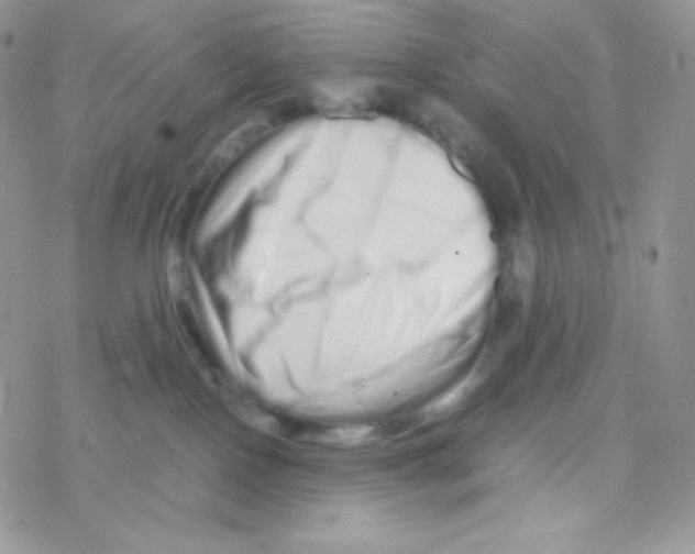 X0000077390090200611172050