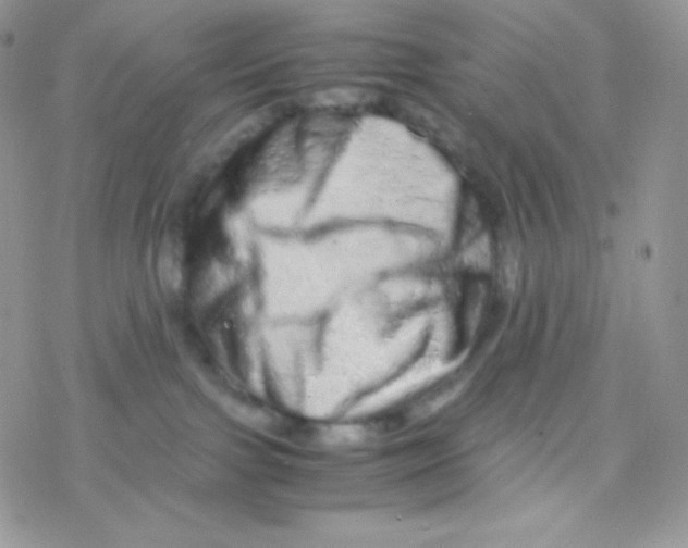 X0000077390091200611172050