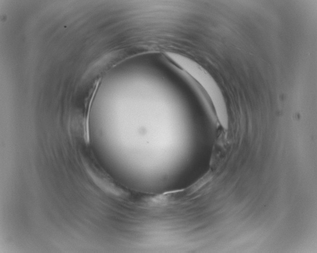 X0000077390092200611172050