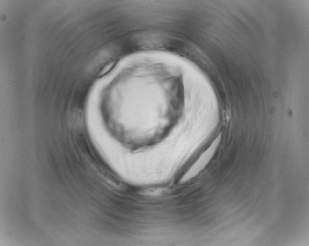 X0000077390093200611172050