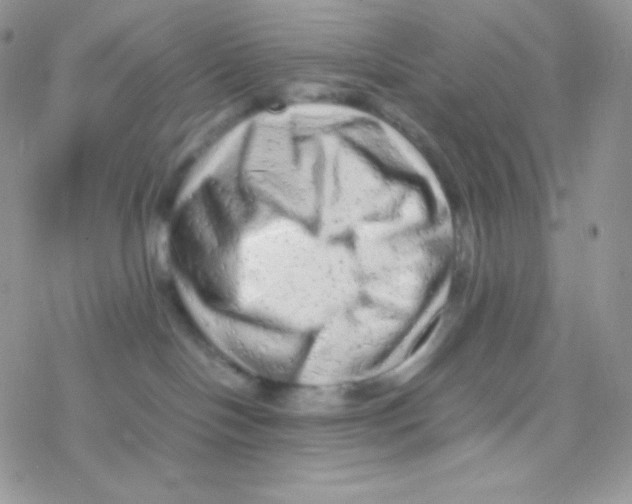 X0000077390094200611172050