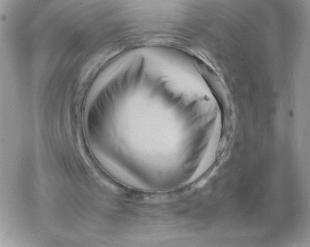X0000077390097200611172049