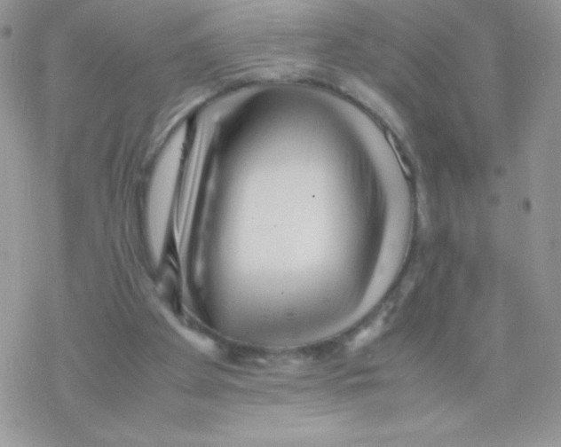 X0000077390105200611172049