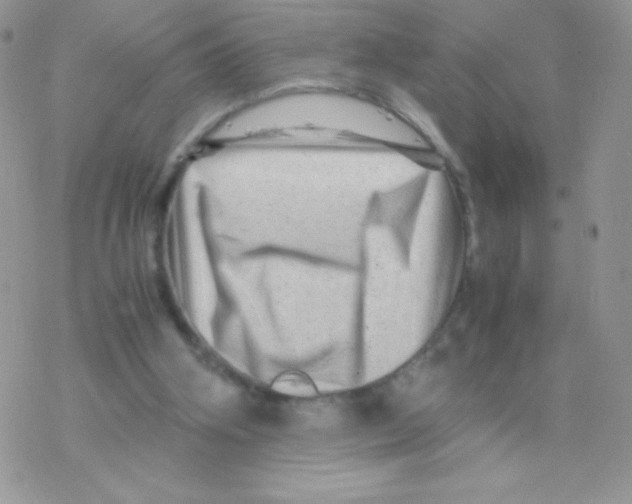 X0000077390106200611172049