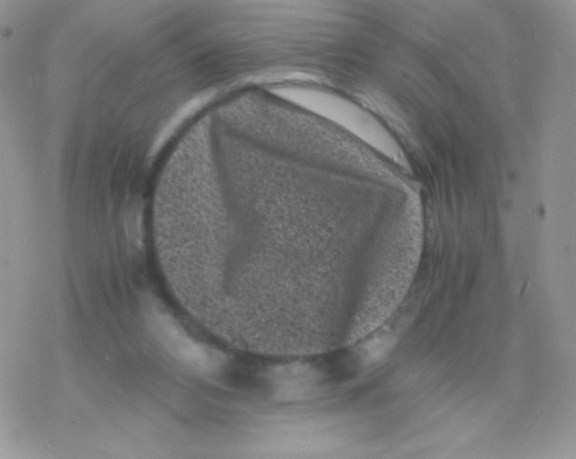 X0000077390112200611172049
