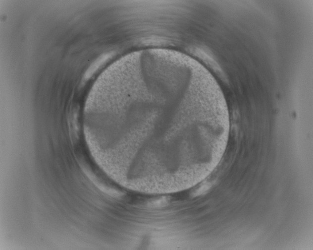 X0000077390116200611172049
