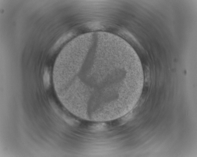 X0000077390124200611172049