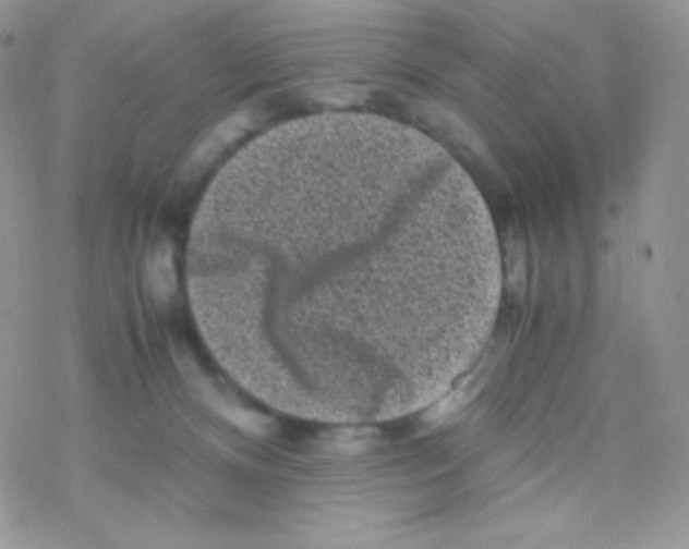 X0000077390128200611172048