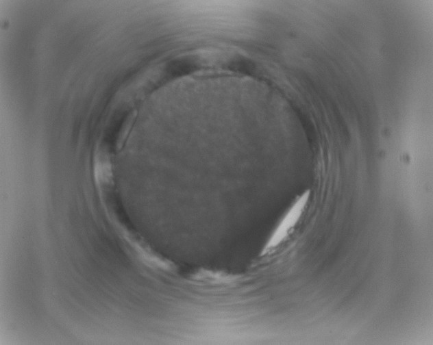 X0000077390137200611172048