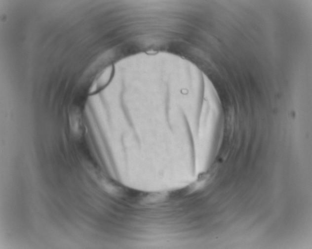 X0000077390138200611172048