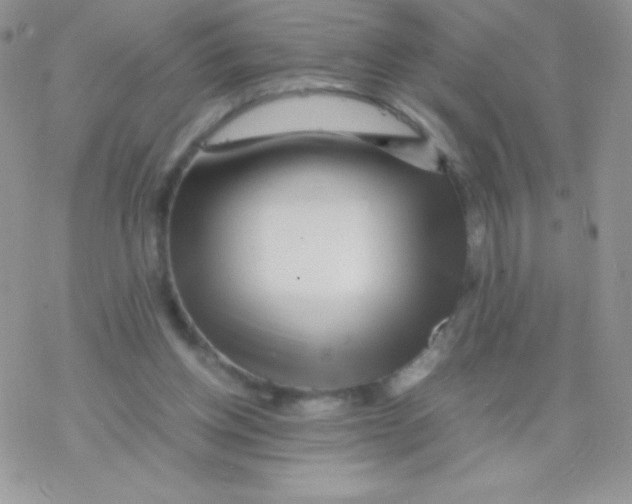 X0000077390158200611172048